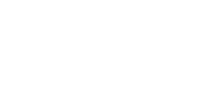 Magnifica